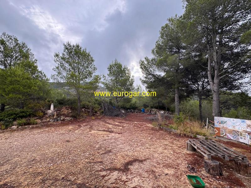 Foto 1e9267dc-28a2-4dc9-8f8b-43343a7fe336. Bauernhof in Buñol