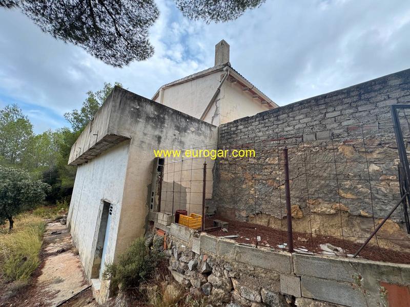 Foto 2747c117-e126-4c46-b6a2-d826f7dfa60c. Bauernhof in Buñol