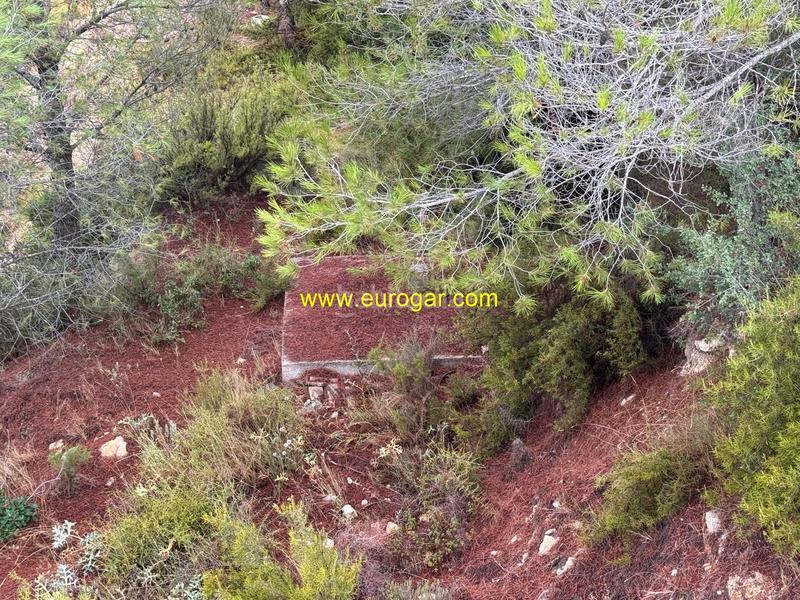 Foto 283e80f7-6ef7-4717-982c-0ad0bdfa64d1. Bauernhof in Buñol