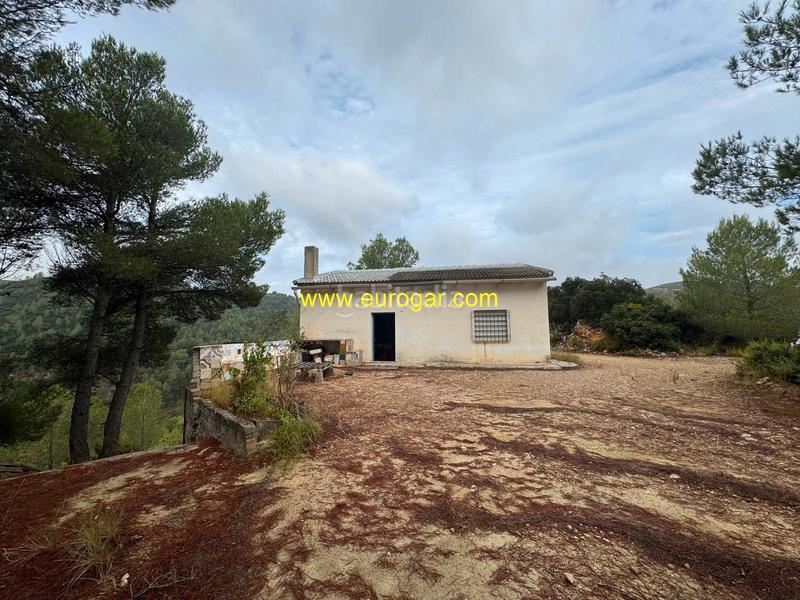 Foto 35f9ece2-dade-4315-91fd-1f38cfeaff42. Bauernhof in Buñol