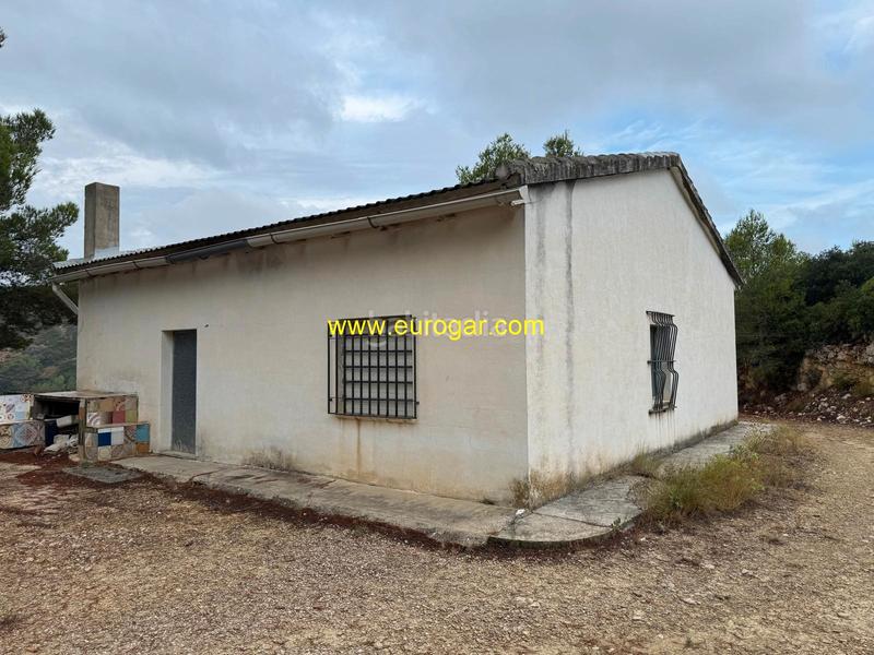 Foto 55def94c-ce7b-4ada-94de-b64751cd2f4d. Bauernhof in Buñol