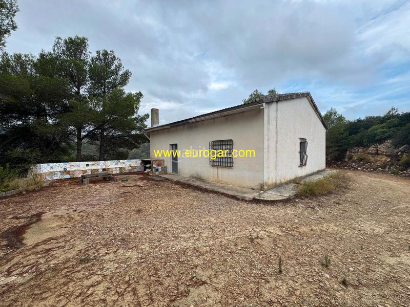 Foto 7c28d103-93df-49fc-9c22-acc8fa19cfda. Bauernhof in Buñol