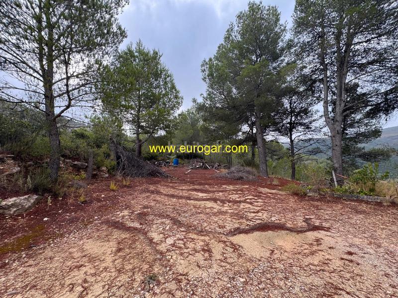 Foto a98a90ef-1aed-4c7c-a6ff-932f976362c5. Bauernhof in Buñol