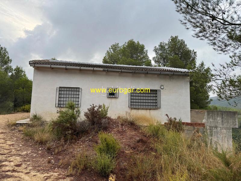 Foto b3289e65-ecd5-4607-9c6a-7d95e32f9855. Bauernhof in Buñol