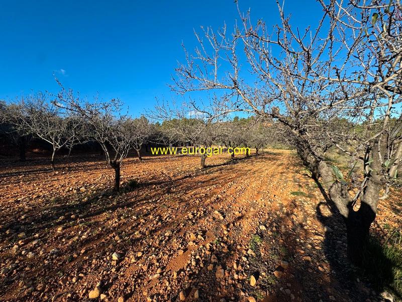 Foto 02be1f00-062e-4d05-851b-39309d133502. Landgut in Centro Chiva