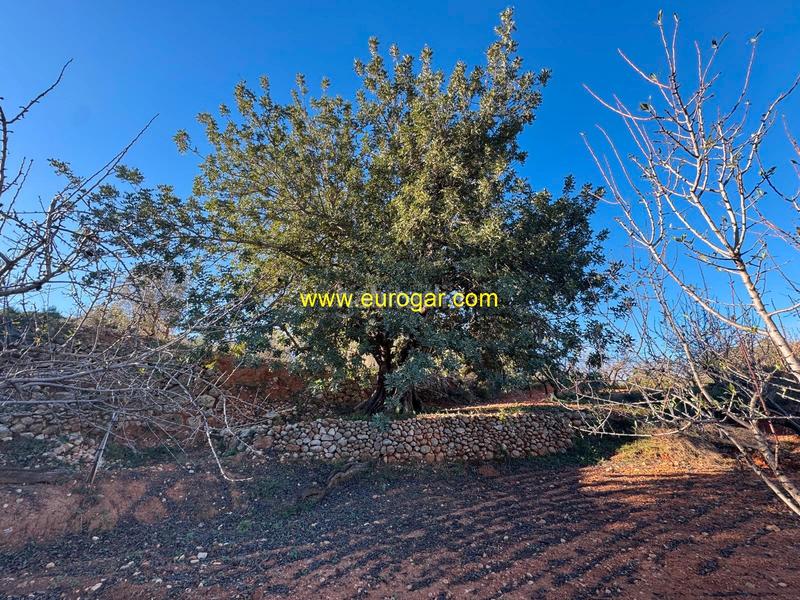 Foto ccf47e63-5f9c-4296-bf5f-ed20e61c6985. Landgut in Centro Chiva