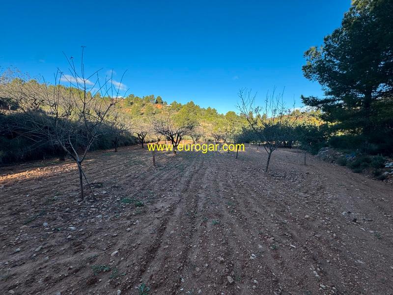 Foto f5b7925c-ba95-40fe-956b-c153a27f0a89. Landgut in Centro Chiva