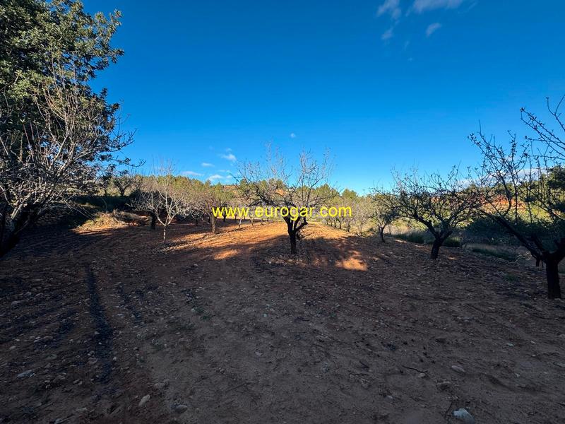 Foto 0a25085d-cec7-4e1e-9ed1-100ae1272b7c. Propriété dans Centro Chiva