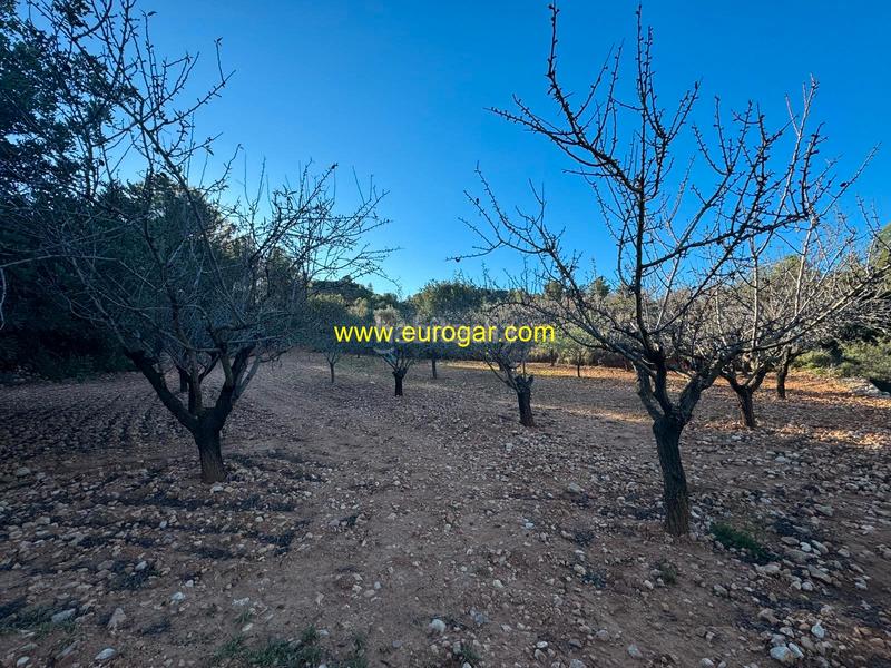 Foto 26be3830-1b6b-4d3c-ab75-4916143fe7de. Propriété dans Centro Chiva