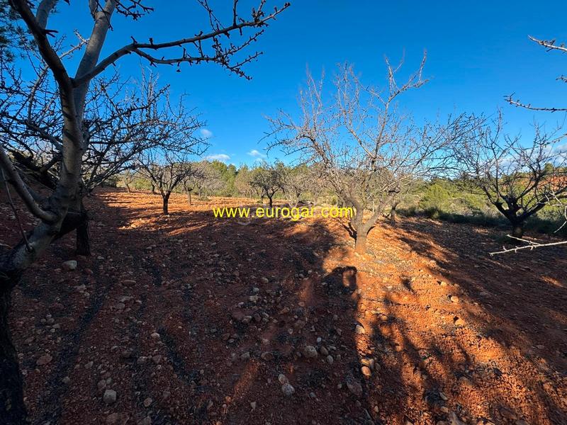 Foto 439409ac-b257-42a2-8f62-ada5bfa367f7. Propriété dans Centro Chiva