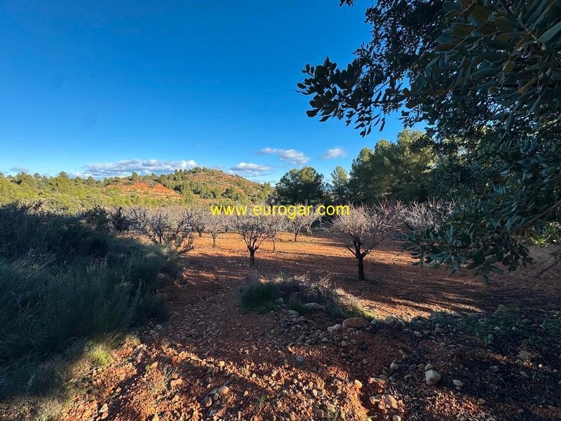 Foto 5e11ebf6-4e04-4749-9dff-d9d1514aed8c. Propriété dans Centro Chiva