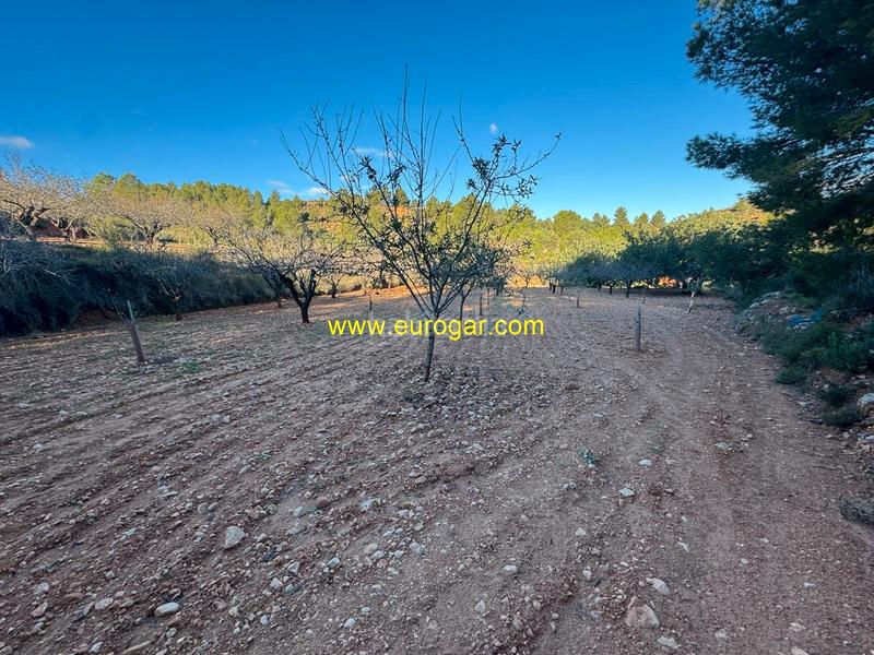 Foto 7f3d4578-02f5-49e1-a56e-4cbf25c2ba05. Propriété dans Centro Chiva