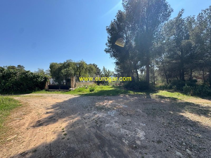Foto cdac06dc-6b5f-4428-8652-e01f69400877. Finca rústica a Centro Chiva