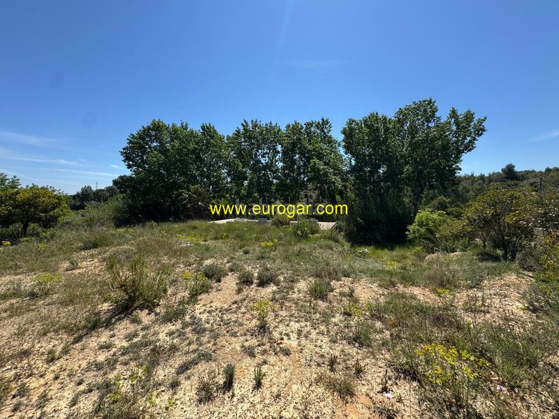 Foto b1d13625-bbd5-47b6-a7e7-39c7c29f6a73. Finca rústica a Los Felipes-Corral de Carmelo Chiva