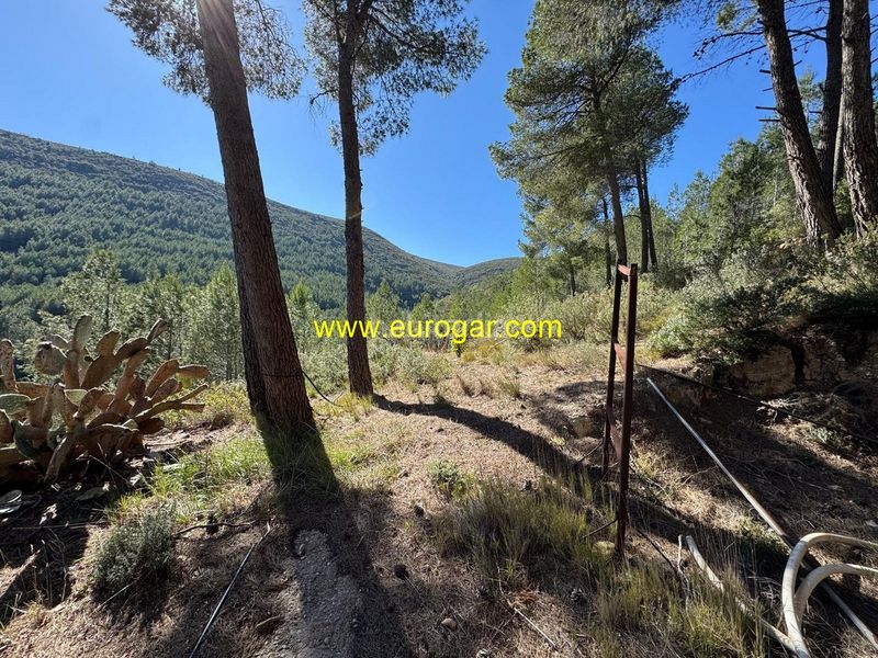 Foto 1ba3e8ef-d0e5-469e-aca2-82a538ba0fa7. Masia a Centro Chiva