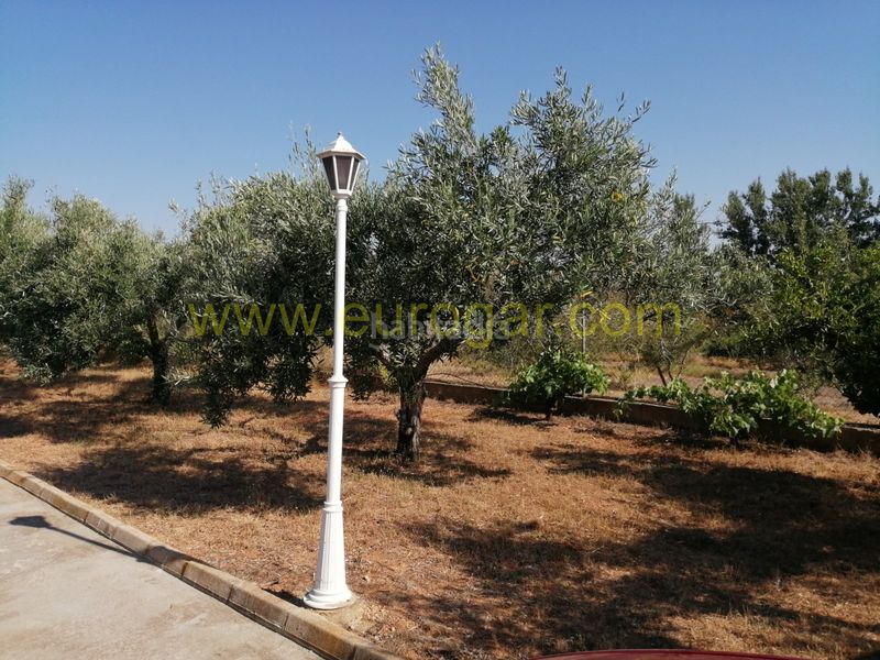 Foto b3556efd-1f38-4c09-8e60-d87ed576f8b1. Xalet amb calefacció piscina a Godelleta