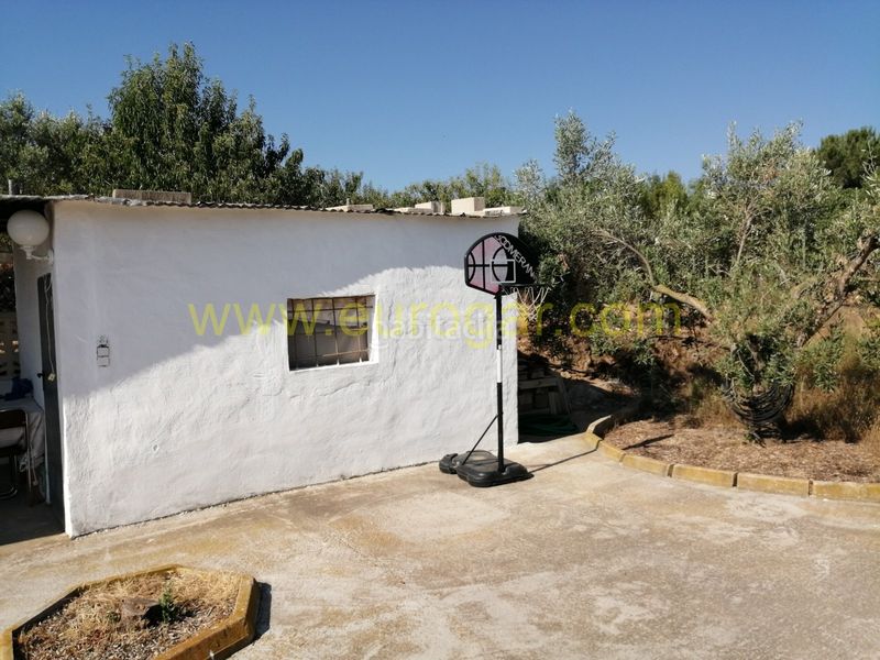 Foto c4be0684-af36-46be-bd12-f0a201228786. Xalet amb calefacció piscina a Godelleta