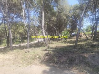Rural plot in Godelleta