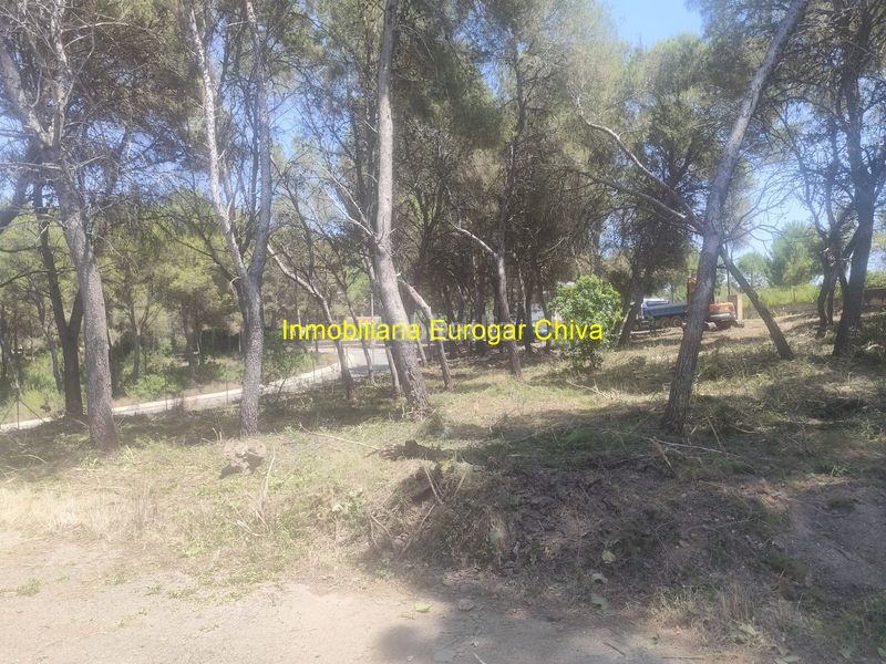 Foto 079d0ff2-ed67-477a-9978-35f36490f367. Finca rústica a Godelleta