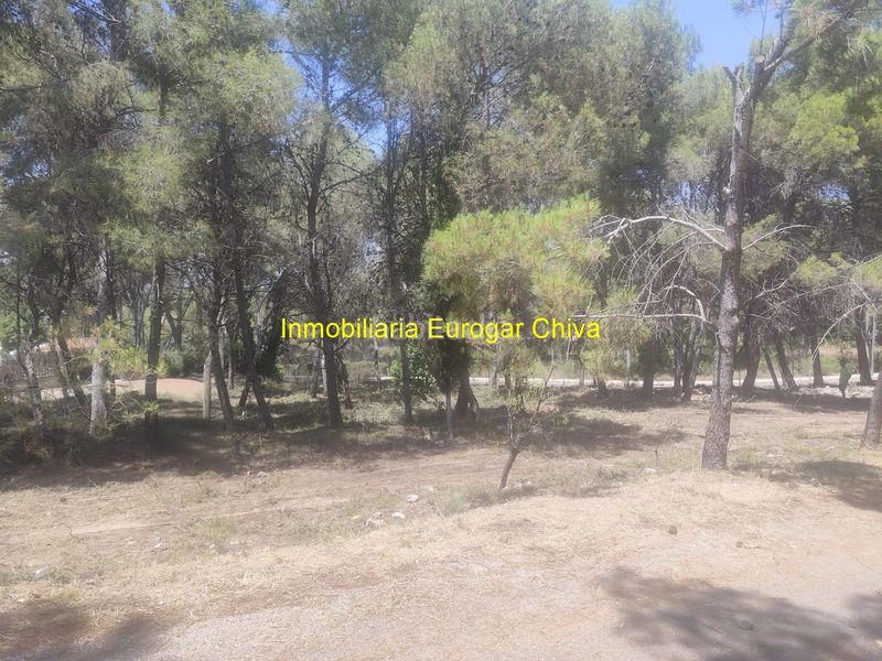 Foto 72275212-c599-4358-9e53-bb683780aa57. Finca rústica a Godelleta
