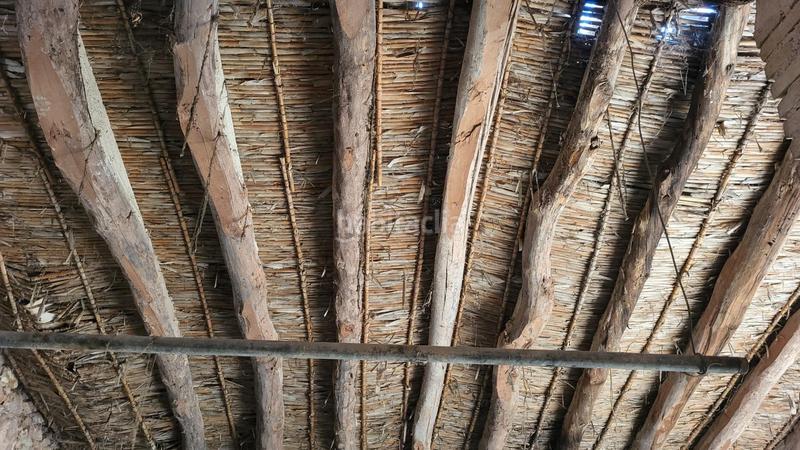 Foto 7cd241c7-200a-4aa6-ba77-d6e5a9e632fb. Finca rústica a Montichelvo