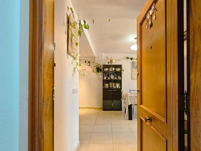 Foto 66d70acb-1ed5-4014-ae32-0817b096a6c2. Pis a Centro Histórico Gandia