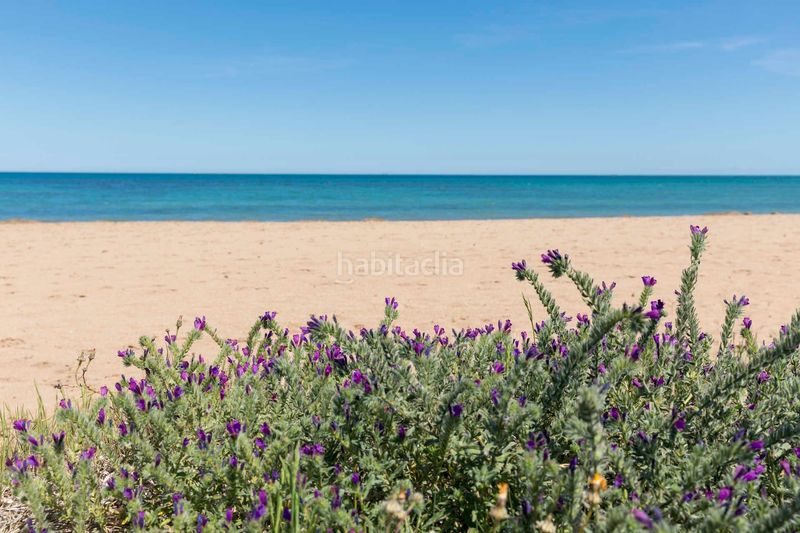 Foto ea179fdb-5e01-4b53-82de-d0e2782b286a. Attique dans calle assagador de la marjal dans Les Bassetes - El Marjal Dénia