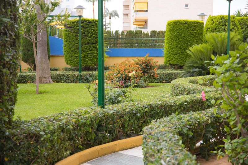 Foto 0e458a9f-20c7-494a-a95c-724a6308b13c. Apartament amb aparcament piscina a Playa de Gandía Gandia