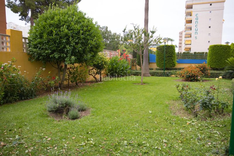 Foto 50f096d6-92bc-4607-9123-5a623ff57fbe. Apartament amb aparcament piscina a Playa de Gandía Gandia