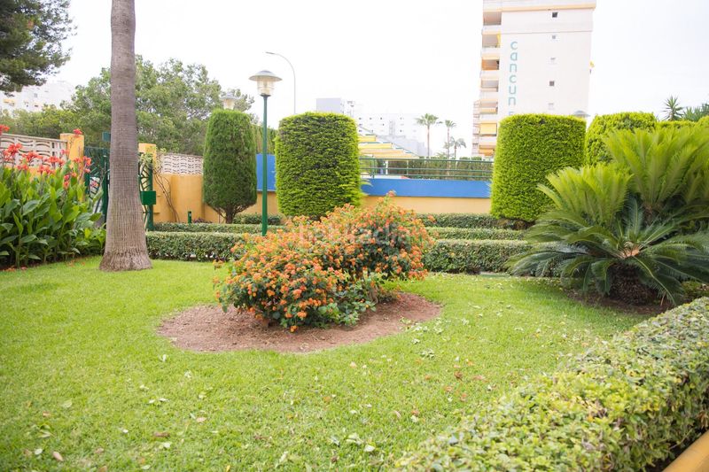 Foto ecc7c1ee-9a8c-4574-aeff-d74dd5771060. Apartament amb aparcament piscina a Playa de Gandía Gandia