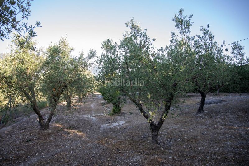 Foto c351f61f-7799-42e8-9823-9a2b03176801. Casa amb aparcament piscina a Almudaina