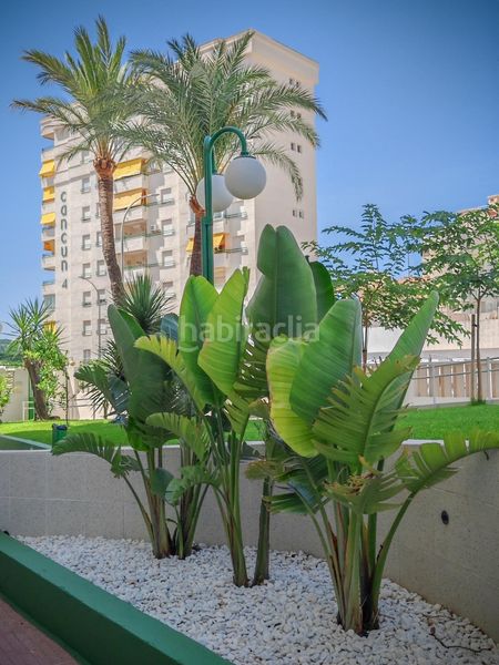 Foto 0b29e60d-1082-4bef-9fb3-cf251b5b7d4b. Apartament a devesa 44 a Playa de Gandía Gandia