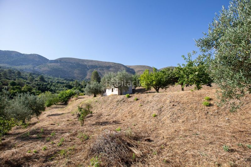 Foto 83525a4b-7a26-4a2e-bebc-286613de38da. Casa amb aparcament a Almudaina