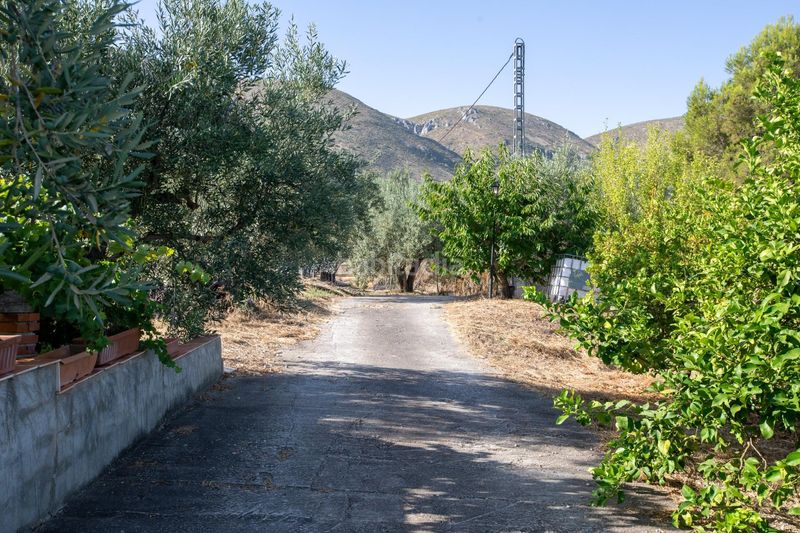 Foto c1c5e99e-7b8a-4ebf-9669-b8b217edc697. Casa amb aparcament a Almudaina