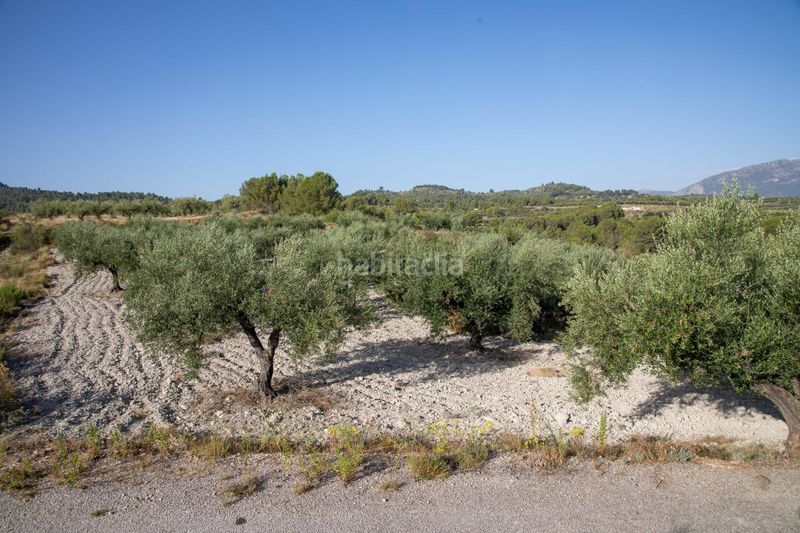 Foto a335cd1f-484f-4a4a-a126-64a0d07ca66f. Terreny residencial a Almudaina