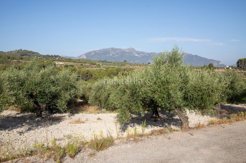Foto ce630b59-be31-4c2b-8648-3c9fc4a200df. Terreny residencial a Almudaina