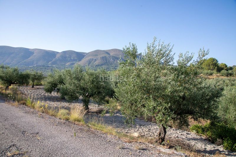Foto fd325879-45b9-4978-b0e3-57d90952154f. Terreny residencial a Almudaina