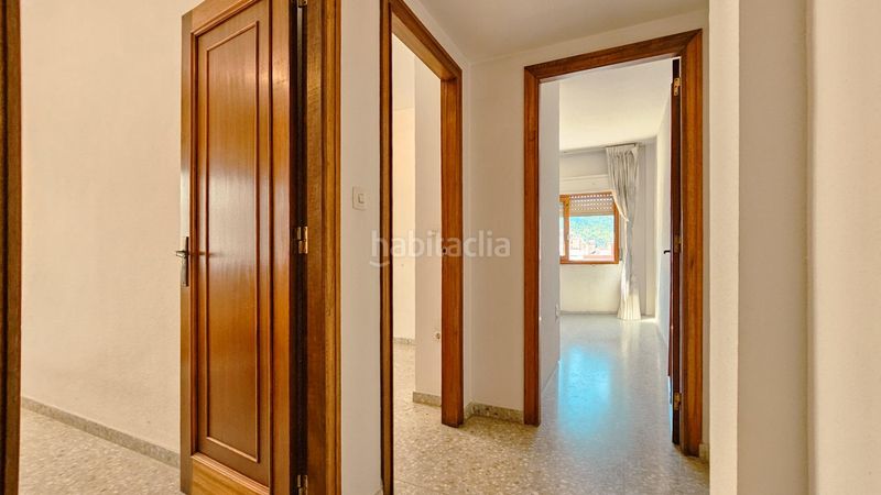 Foto 19aa5554-cb99-4fa7-bd81-7fd27d52b11d. Pis a Beniopa - Sant Pere Gandia