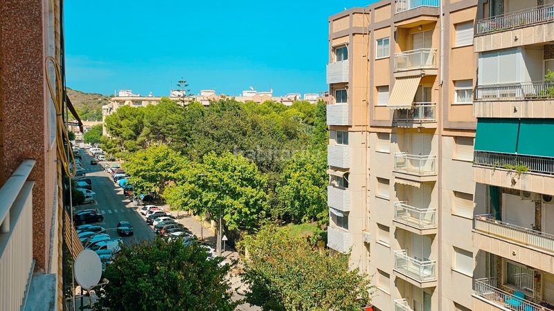 Foto ef391001-106c-4d8e-80d5-b5fdeacfe035. Pis a Beniopa - Sant Pere Gandia