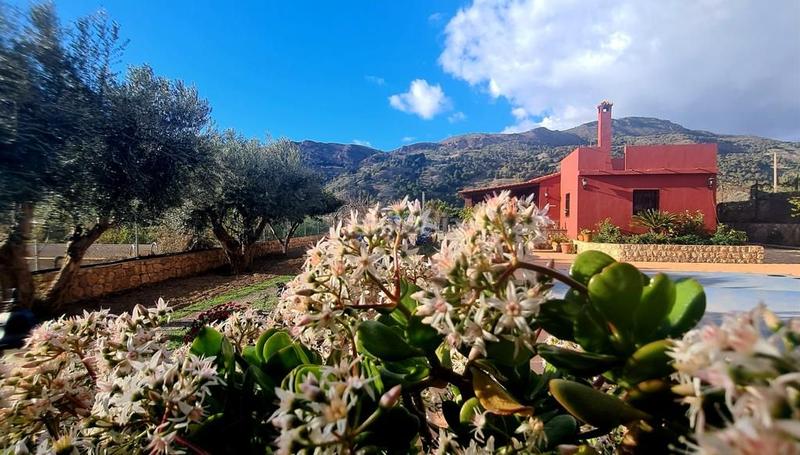 Foto 9171ee94-626d-4ba9-9fca-1d95af8d9c4f. Alquiler casa  rustica con piscina en Vélez de Benaudalla