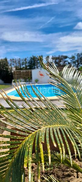 Foto 9b6e602c-f05d-474b-b0ba-d2934e447a6e. Lloguer casa amb calefacció piscina a Barbate Barbate