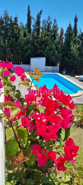 Foto 28a2095d-ec25-4cf7-ae8b-e0d62ba600f9. Miete haus mit heizung pool in Barbate Barbate