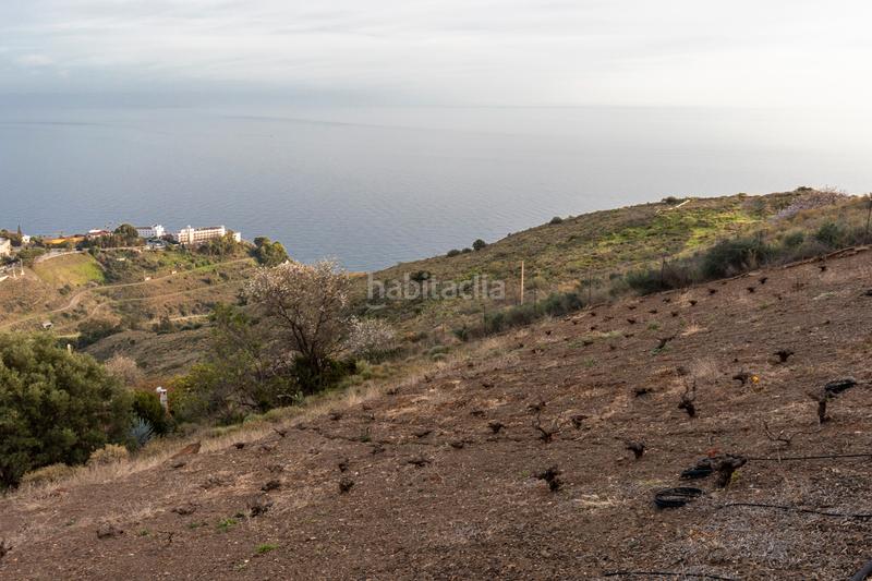Foto d979c892-6c81-4767-aab7-6e2ea7fb9326. Haus mit kamin in Monte los Almendros - El Pargo - Costa Aguilera Salobreña