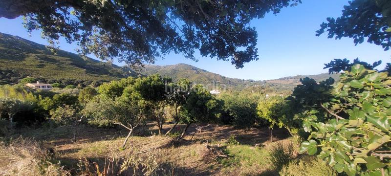 Foto f0341c71-bac3-4728-bd4b-a58e6cc17f76. Chalet dans arrabal sector el cuartón 4 dans El Cuartón - El Bujeo Tarifa