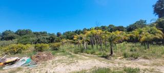Finca rústica a Calle polo sur 38. Gran parcela pegada al polo de sotogrande