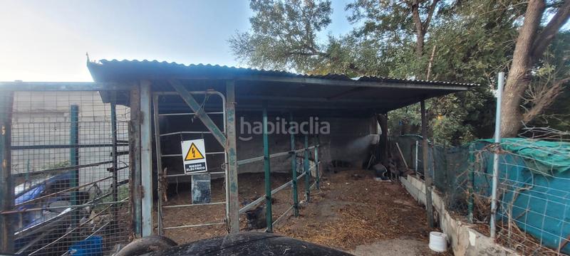 Foto 08f4b1fe-6e65-466a-973f-157ec992b56e. Bauernhof in calle lope de vega 14b in Barrios (Los)