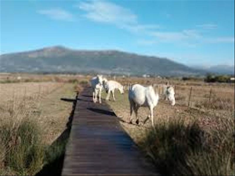 Foto 776b0173-bc38-45a6-a8bd-cabd07032d4b. Chalet with parking in San García Algeciras