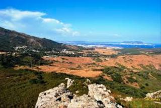 Xalet  Calle naranjo de bulnes 35. Parcela con gran nave en pelayo