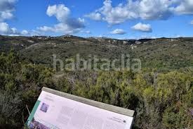 Foto 63a92142-87a1-4538-b876-827d596b4fd1. Xalet a calle las rosas 15 a Barrios (Los)