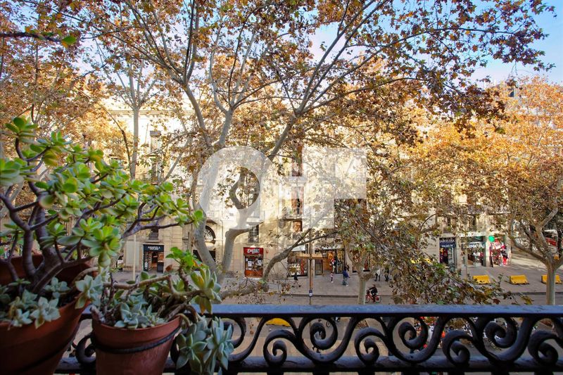 Foto 0f7811a5-41e9-4e7d-94b1-190123c4dff4. Apartament amb aparcament a Raval Barcelona